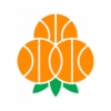 霍格斯博籃（lán）球