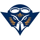 伯瑞沙大學（xué）