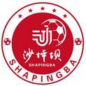 沙（shā）坪壩隊